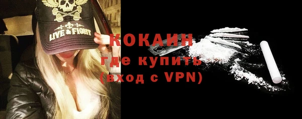 индика Гусь-Хрустальный
