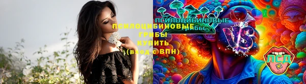 MDMA Premium VHQ Гусев