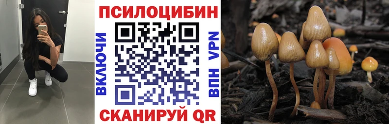 даркнет сайт  мега ONION  Галлюциногенные грибы мицелий  Новосокольники 